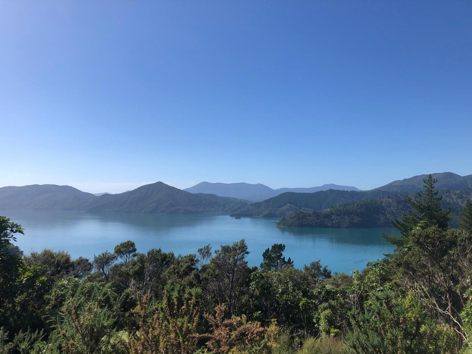 Raetihi Lodge Kenepuru Sounds Εξωτερικό φωτογραφία